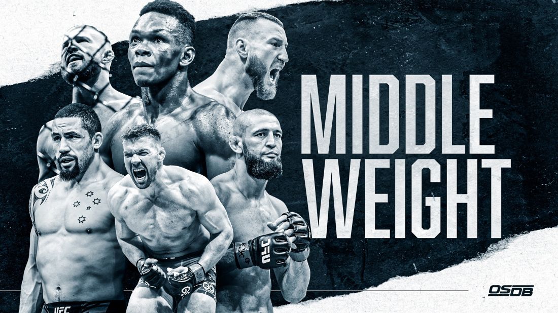 THE BREAKDOWN: MIDDLEWEIGHT DIVISION