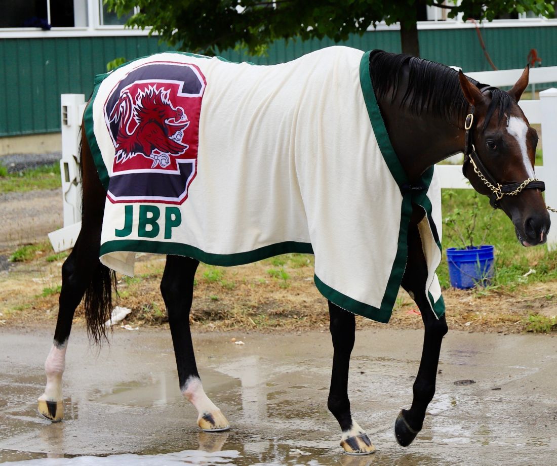 The poignant meaning behind Belmont entrant Hot Rod Charlie’s blanket